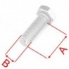 Rear sprocket screws (4pcs)