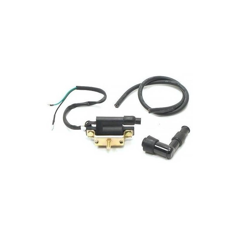 Ignition Coil - 2 Cable