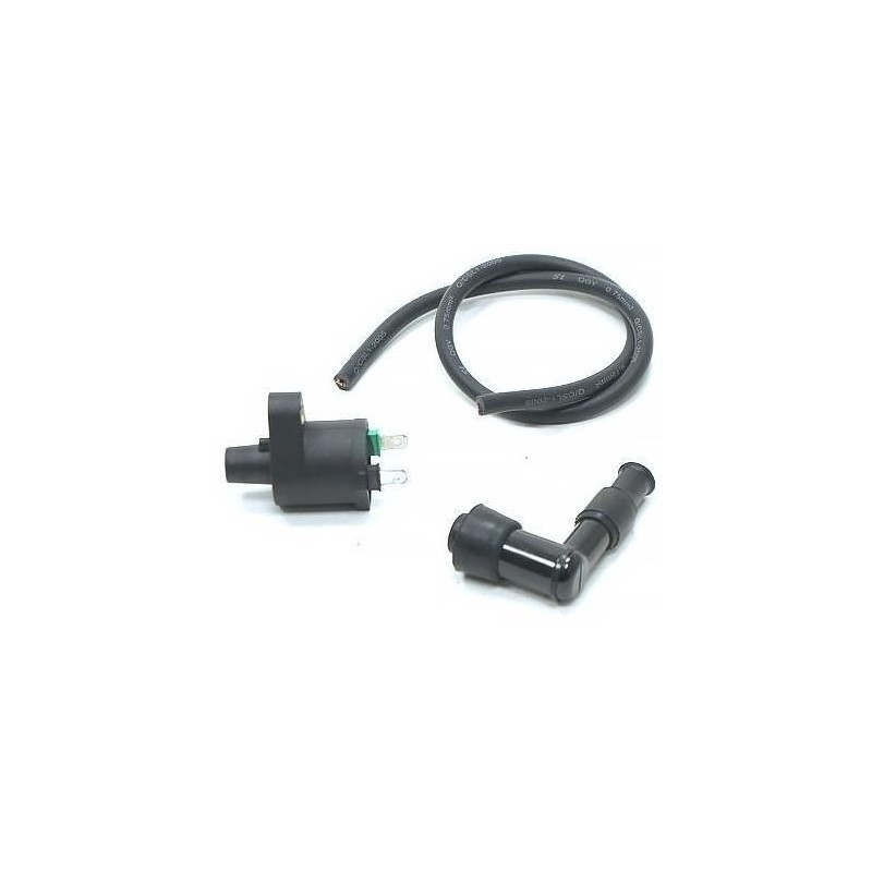 Ignition Coil - 2 pin
