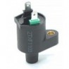 Ignition Coil - 2 pin