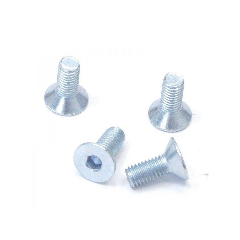 Disc screws ø8mm (x4)