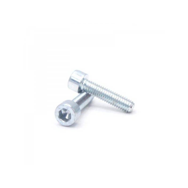 Clamp screws (x2)